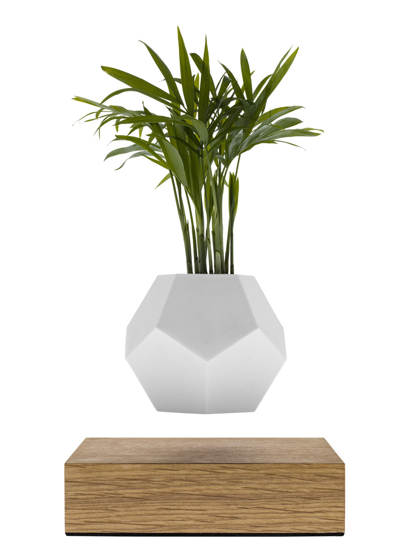 Levitating Vase
